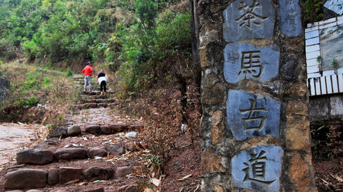 普洱茶馬古道旅游景區(qū)一日游