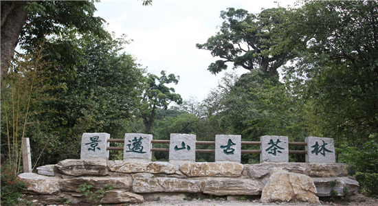 普洱旅游