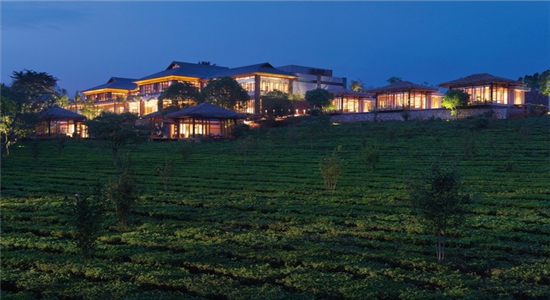 普洱獎(jiǎng)勵(lì)旅游策劃：景邁山離申報(bào)世界文化遺產(chǎn)成功還有多遠(yuǎn)？景邁山茶類世界遺產(chǎn)的申遺之路