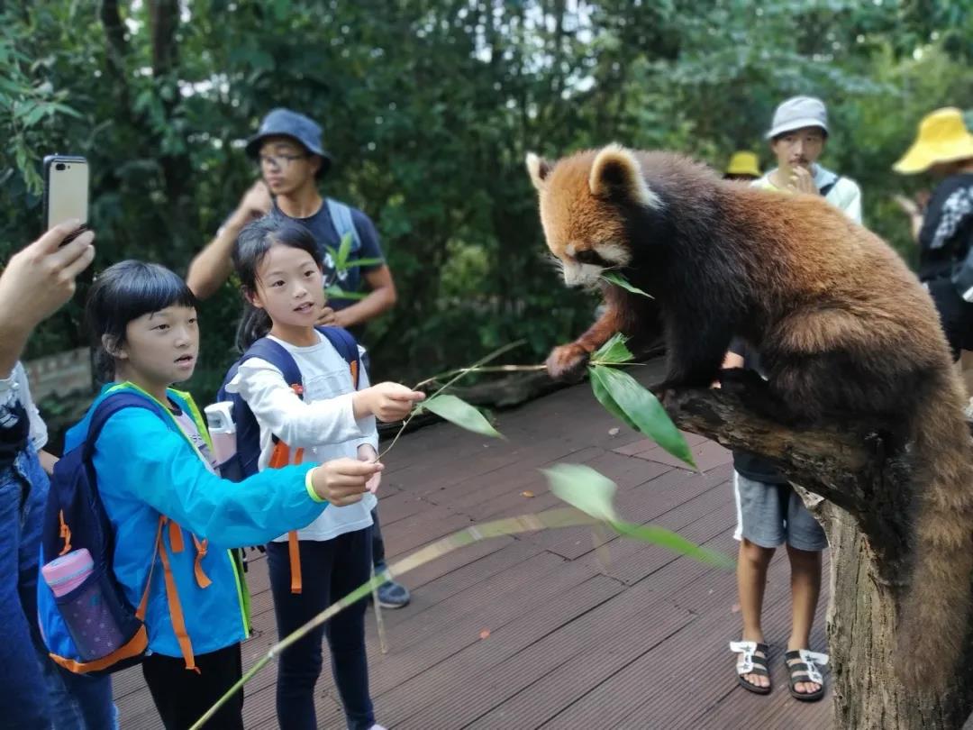 普洱太陽河國家森林公園