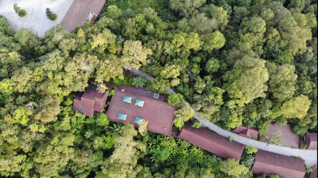 普洱太陽河國家森林公園