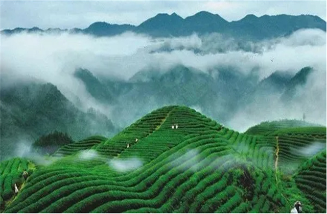 冬季旅游請到四季如春的大美云南——普洱來！