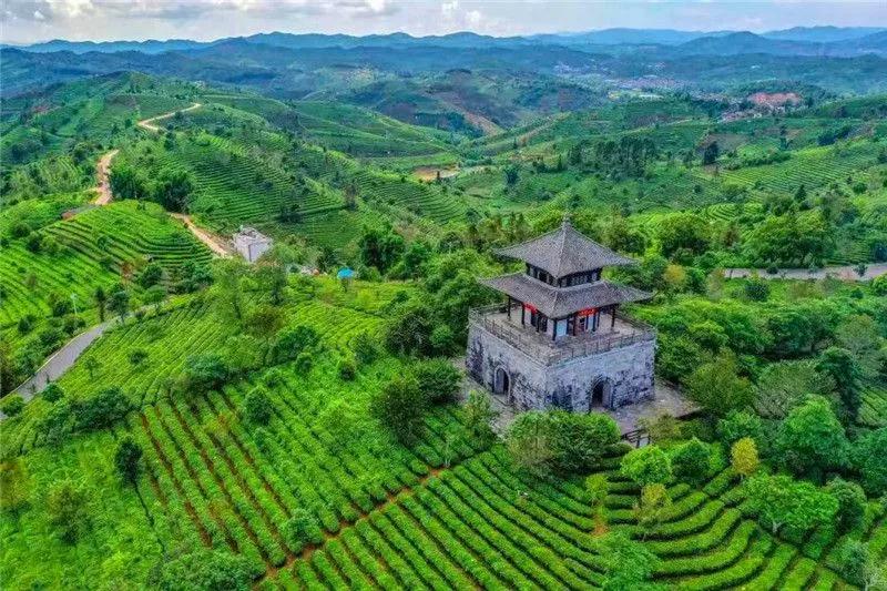 普洱特色團建，浪漫茶旅+美食精品兩日游經(jīng)典線路推薦