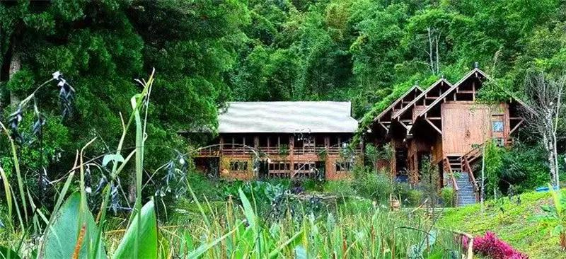 普洱特色團建，浪漫茶旅+美食精品兩日游經(jīng)典線路推薦