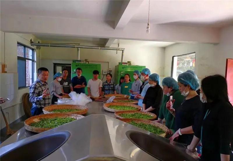 普洱特色團建，浪漫茶旅+美食精品兩日游經(jīng)典線路推薦