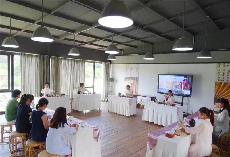 普洱特色團建，浪漫茶旅+美食精品兩日游經(jīng)典線路推薦