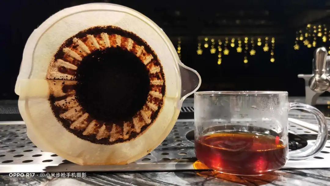 普洱特色團建：普洱小凹子咖啡莊園