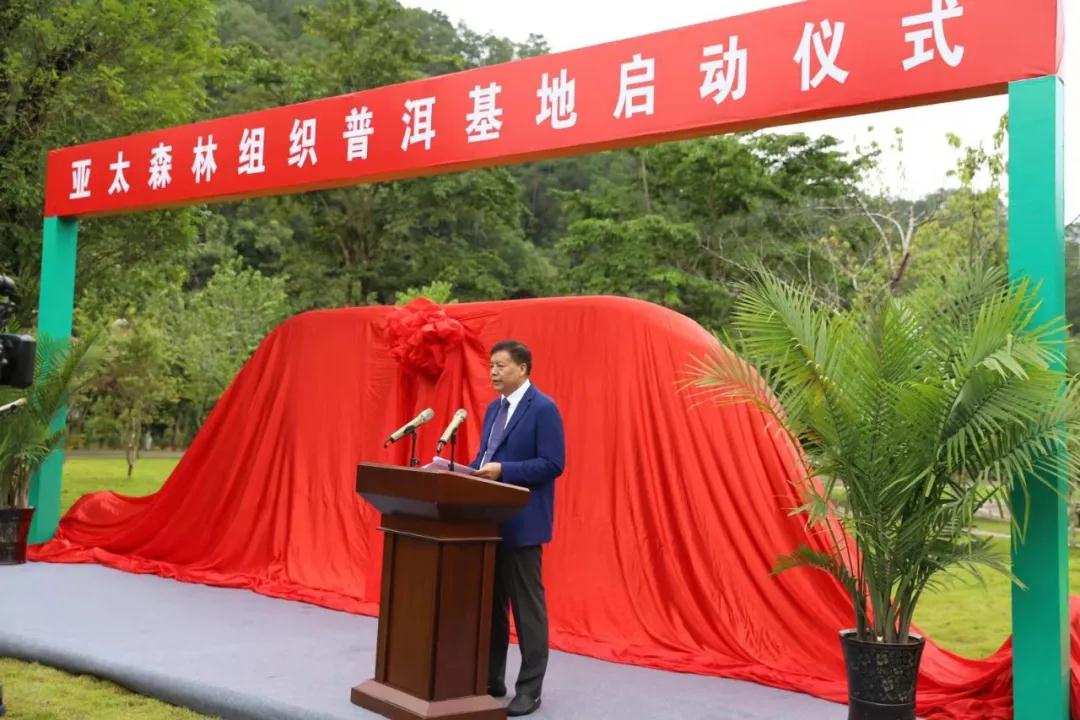 云南普洱基地萬(wàn)掌山林場(chǎng)