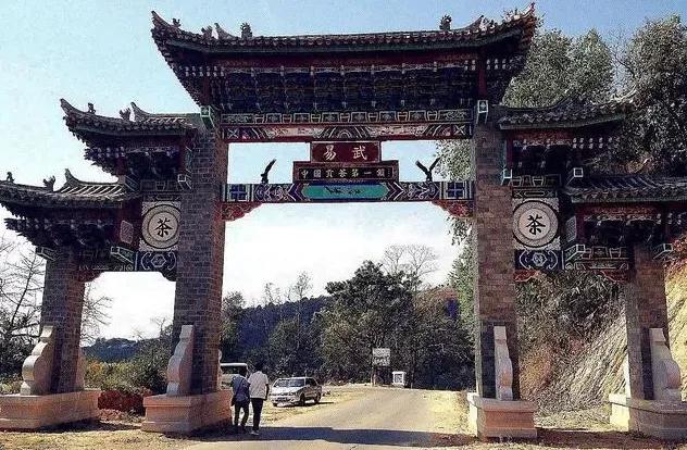 普洱特色團(tuán)建-古茶山行