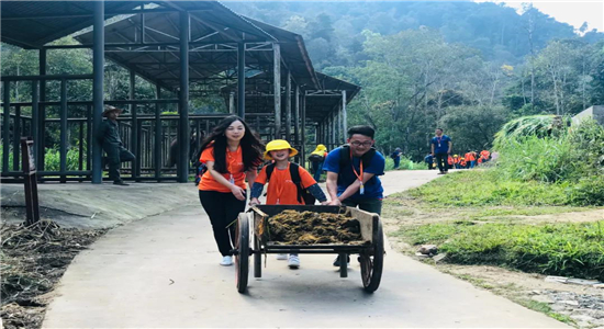 普洱研學(xué)旅游