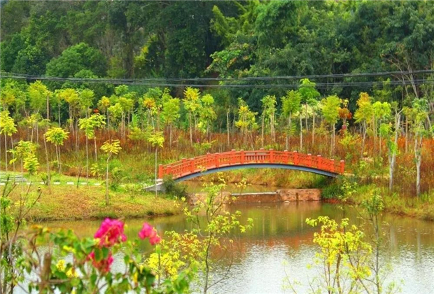 普洱定制旅游：世界海洋日丨走進(jìn)普洱濕地看萬綠斗奇艷