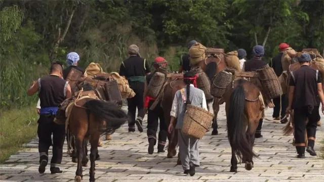 普洱定制團(tuán)建