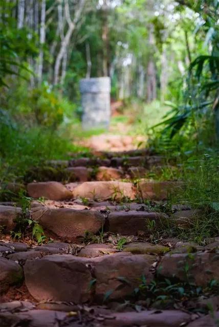普洱定制團(tuán)建