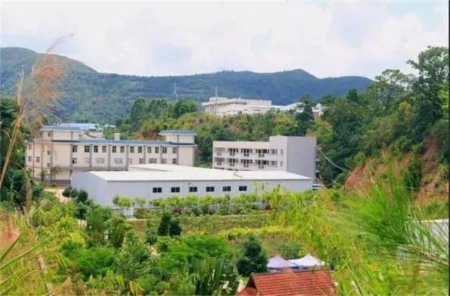 普洱定制團(tuán)建