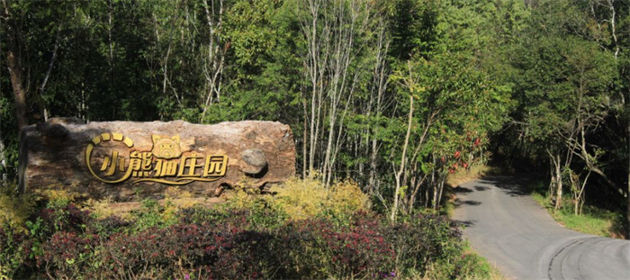 普洱小熊貓莊園