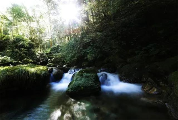 普洱定制游：美麗的黃草嶺小黑龍?bào)? />
                                                        </a>
                                                    </div>
                                                    <div   id=