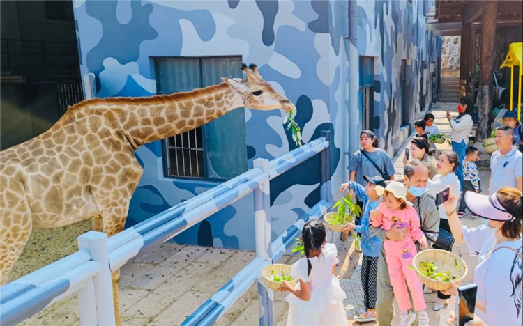 普洱旅游